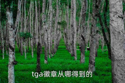 tga手游奖怎么获得，衣服 超感TGA怎么得到的