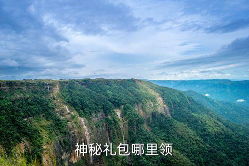 神秘礼包哪里领