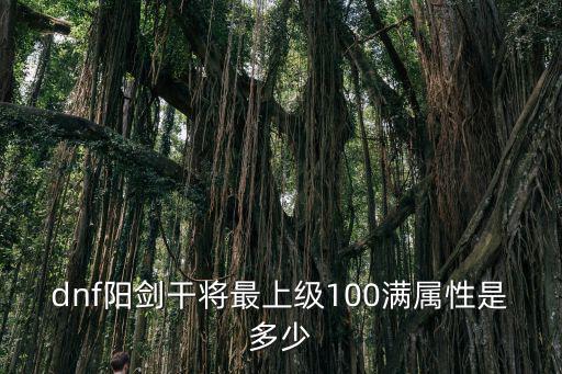 dnf阳剑干将最上级100满属性是多少