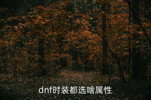 dnf时装都选啥属性