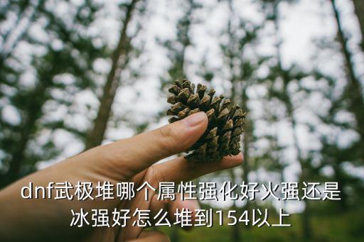 dnf武极堆哪个属性强化好火强还是冰强好怎么堆到154以上