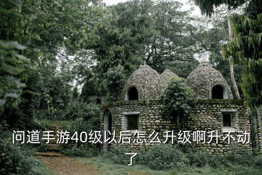 问道手游40级没任务了怎么升级，问道手游40级以后怎么升级啊升不动了