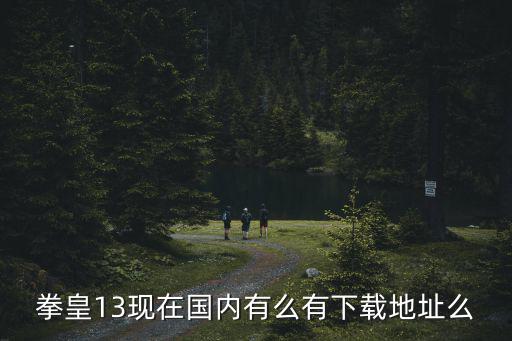 拳皇13现在国内有么有下载地址么