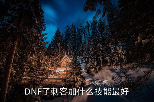 dnf刺客属性堆什么技能，DNF刺客堆什么属性 带什么装备 技能 本人平民一般般的装备就可以了