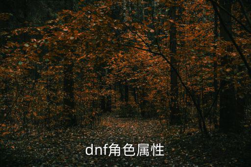 dnf全角色有什么属性吗，地下城各职业的属性是什么