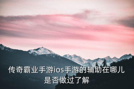 传奇霸业手游ios手游的辅助在哪儿是否做过了解