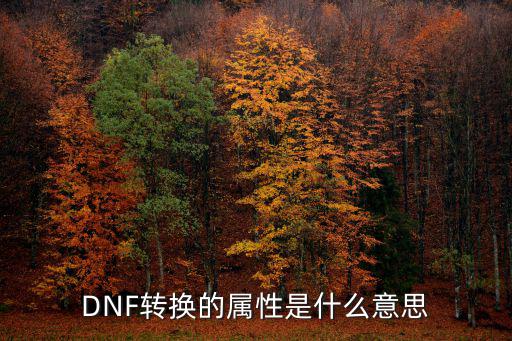 dnf转甲改什么属性，DNF板甲一般都加什么属性常见的