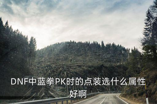 dnf蓝拳pk什么属性，大叔蓝拳的PK什么属性攻击伤害高