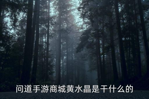 问道手游商城黄水晶是干什么的