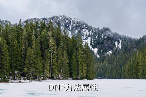 DNF力法属性