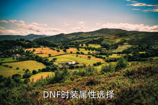 dnf上衣时装选什么属性，DNF时装属性选择