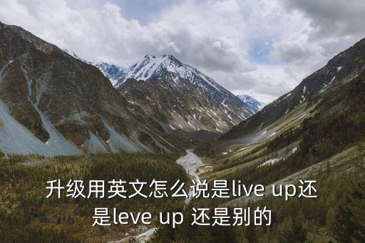 升级用英文怎么说是live up还是leve up 还是别的