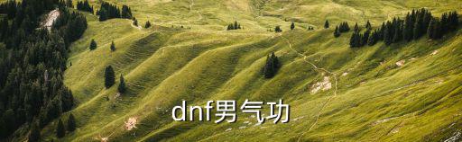 dnf男气功是什么属性，dnf男气功属性选择