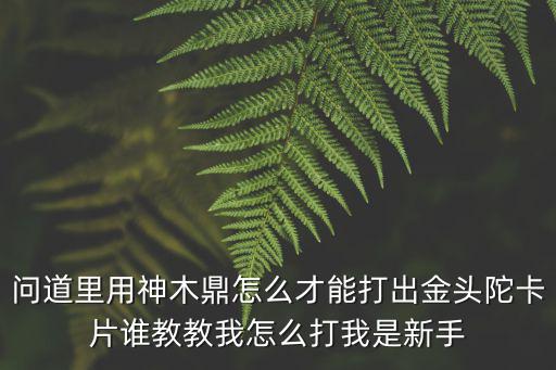 问道里用神木鼎怎么才能打出金头陀卡片谁教教我怎么打我是新手