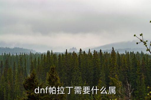 dnf啪啪丁打什么属性，dnf帕拉丁需要什么属