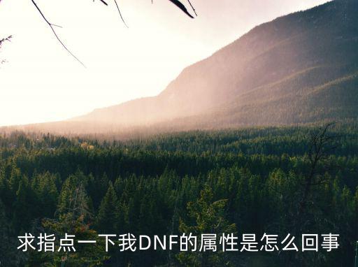 求指点一下我DNF的属性是怎么回事