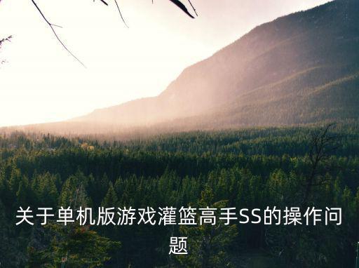 关于单机版游戏灌篮高手SS的操作问题