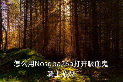 怎么用Nosgba26a打开吸血鬼骑士游戏