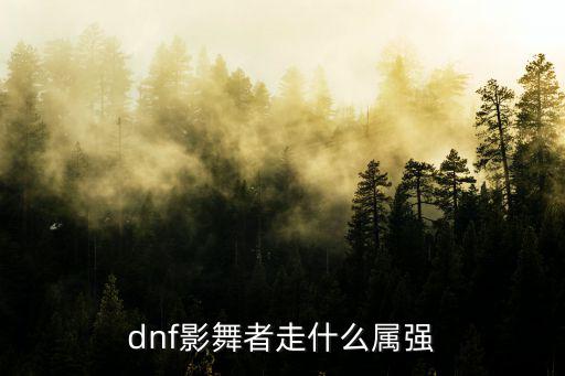 Dnf影武者什么属性强化，dnf影舞者走什么属强