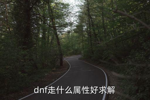 dnf走什么属性好求解