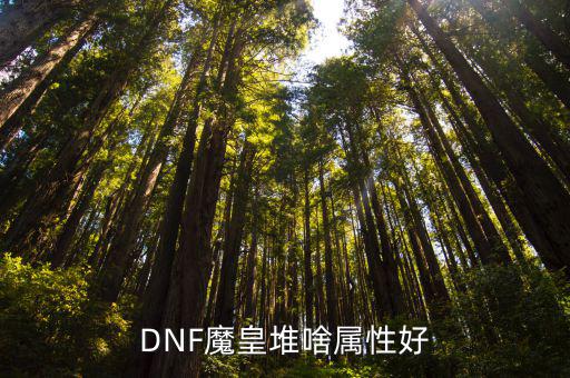 DNF魔皇堆啥属性好