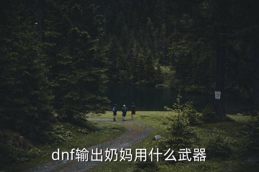 dnf输出奶妈用什么武器