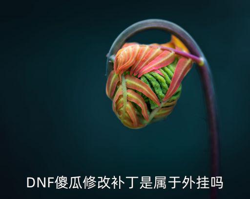 DNF傻瓜修改补丁是属于外挂吗