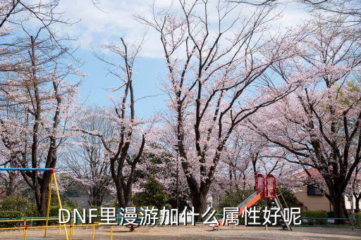 DNF里漫游加什么属性好呢