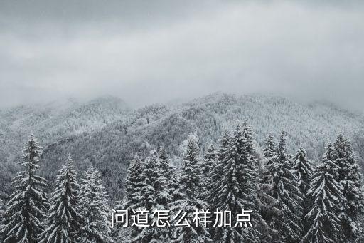 问道怎么样加点