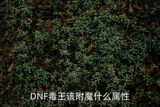 dnf 毒王带什么属性，DNF毒王该附魔什么属性