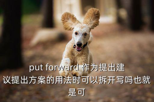 put forward 作为提出建议提出方案的用法时可以拆开写吗也就是可