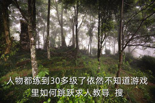 人物都练到30多级了依然不知道游戏里如何跳跃求人教导  搜