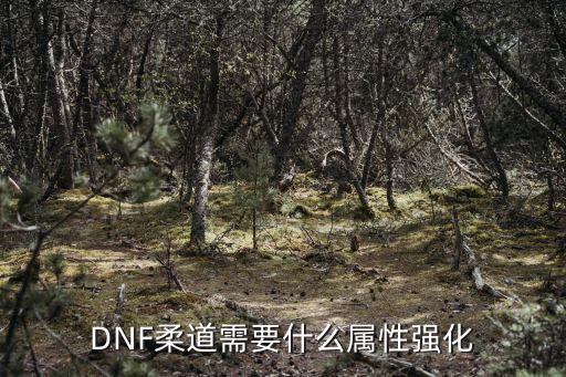 DNF柔道需要什么属性强化