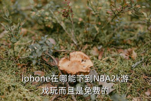 iphone在哪能下到NBA2k游戏玩而且是免费的