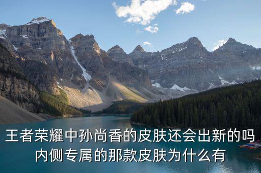 王者荣耀中孙尚香的皮肤还会出新的吗内侧专属的那款皮肤为什么有