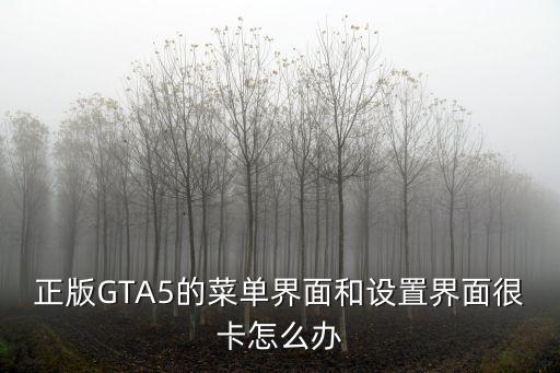 正版GTA5的菜单界面和设置界面很卡怎么办