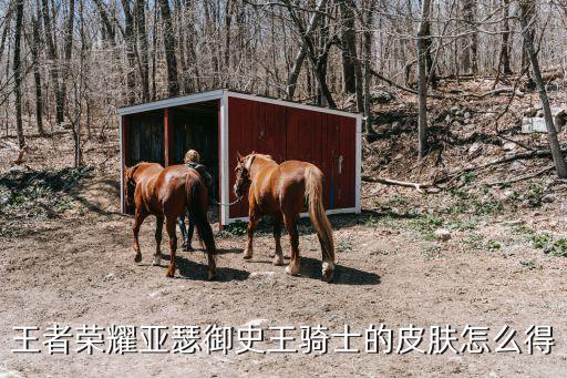 王者荣耀亚瑟御史王骑士的皮肤怎么得