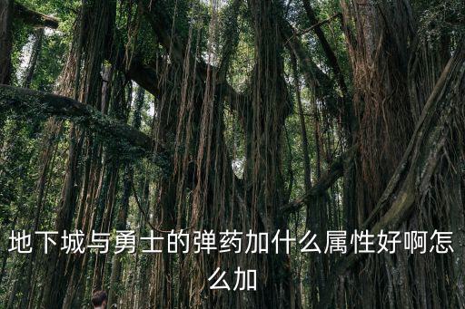 地下城与勇士的弹药加什么属性好啊怎么加