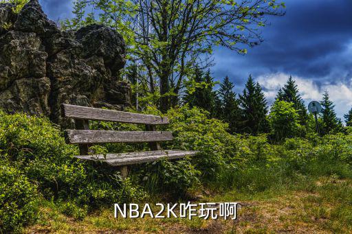 NBA2K咋玩啊