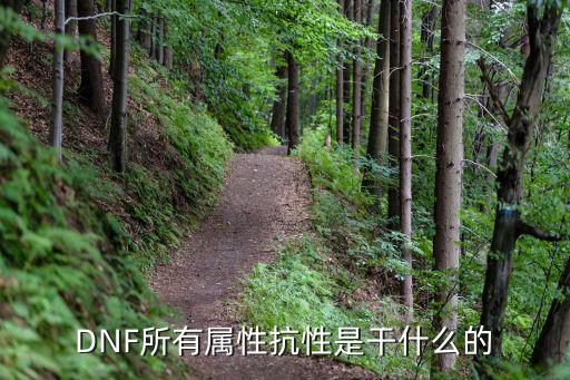 dnf所有属性抗是什么，DNF所有属性抗性有什么作用