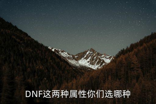 DNF这两种属性你们选哪种