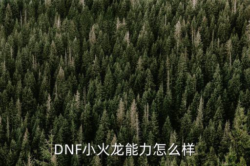 DNF小火龙能力怎么样