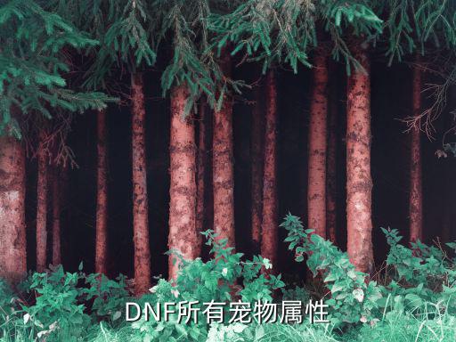 DNF所有宠物属性