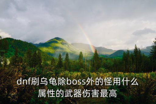 dnf刷乌龟除boss外的怪用什么属性的武器伤害最高