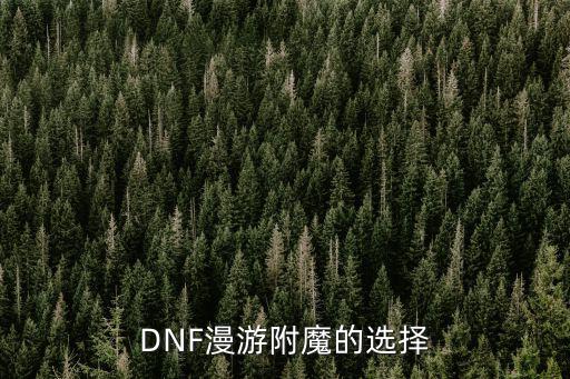 DNF漫游附魔的选择