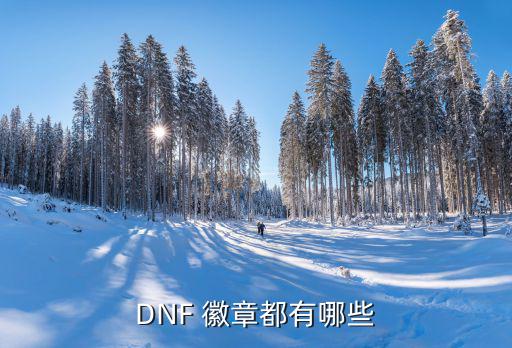 DNF 徽章都有哪些