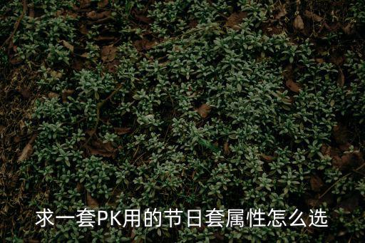 求一套PK用的节日套属性怎么选