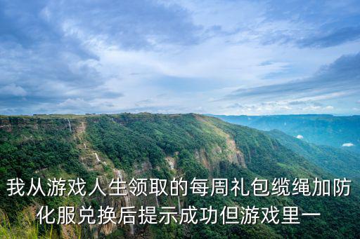 我从游戏人生领取的每周礼包缆绳加防化服兑换后提示成功但游戏里一