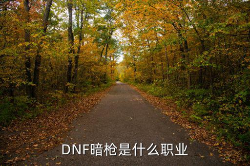 DNF暗枪是什么职业