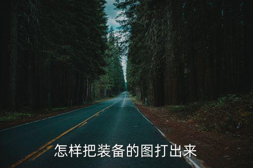 怎样把装备的图打出来